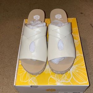 Yellow box adnee wedges